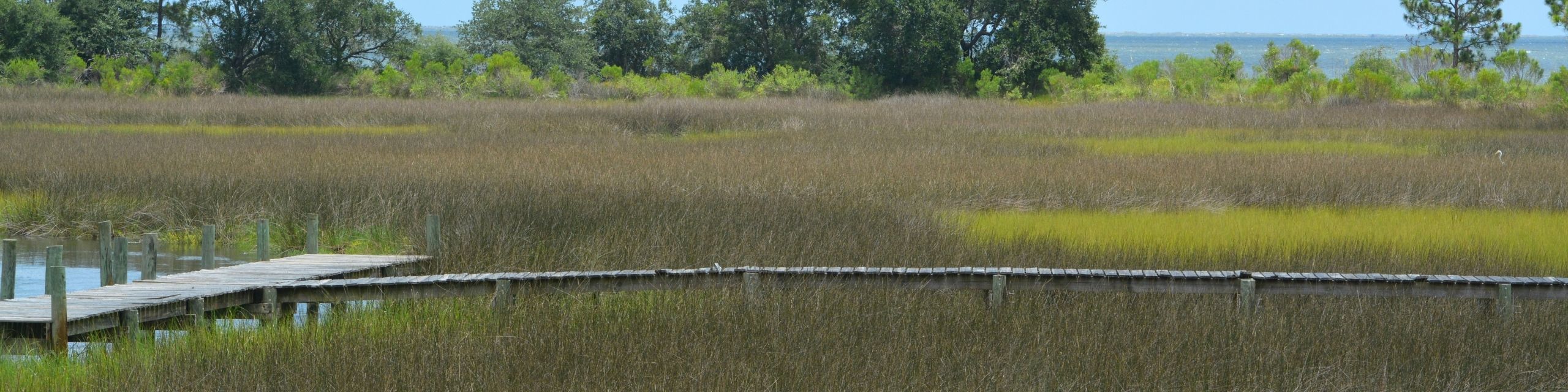Dock On Marsh Coastal Real Estate On Florida's Forgotten Coast