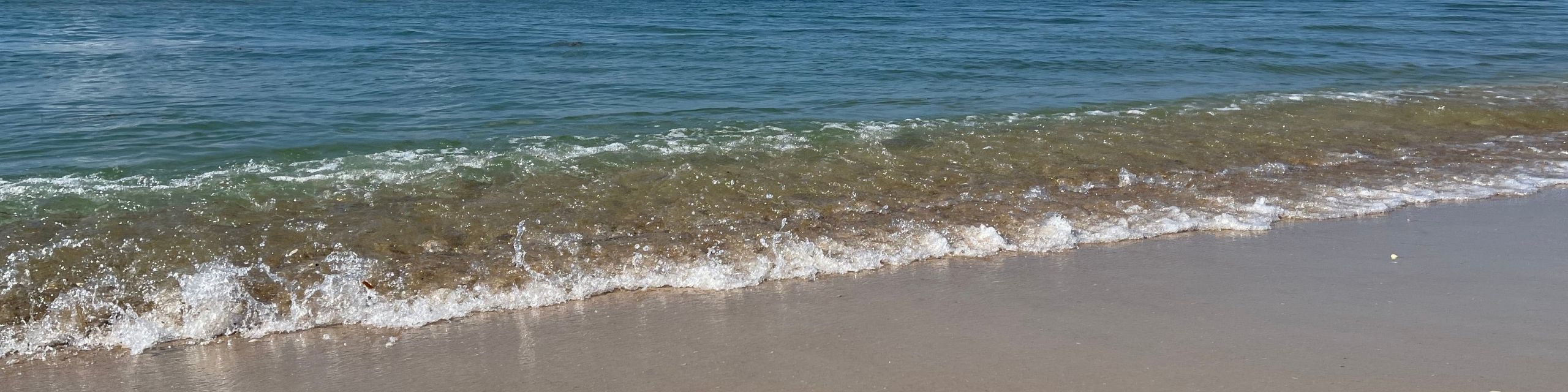 Robinson Real Estate Company Selling Beachfront Homes and Land